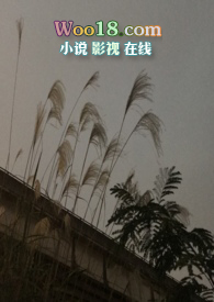 隐秘的面孔在线观看免费完整版
